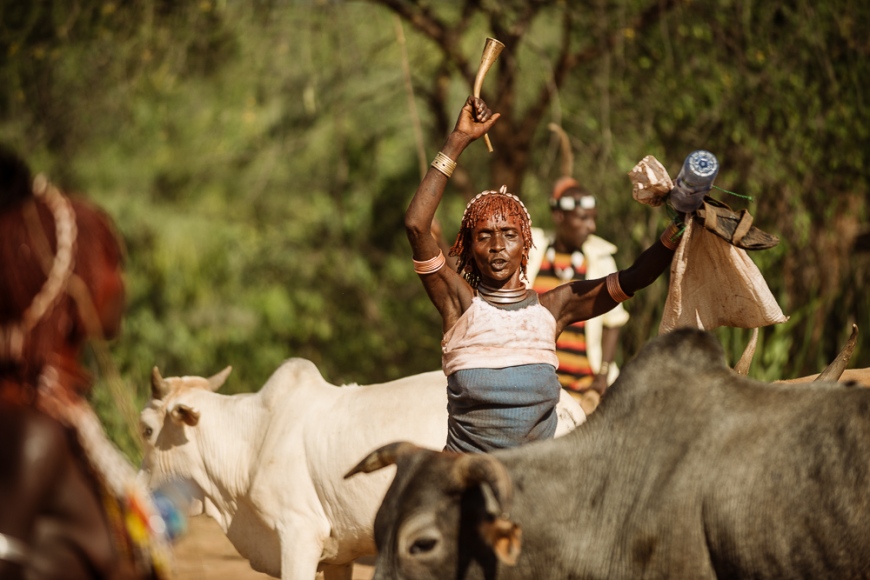 Jumping of the Bulls Ceremony, Hamar Tribe, Turmi, Omo Valley, Ethiopia